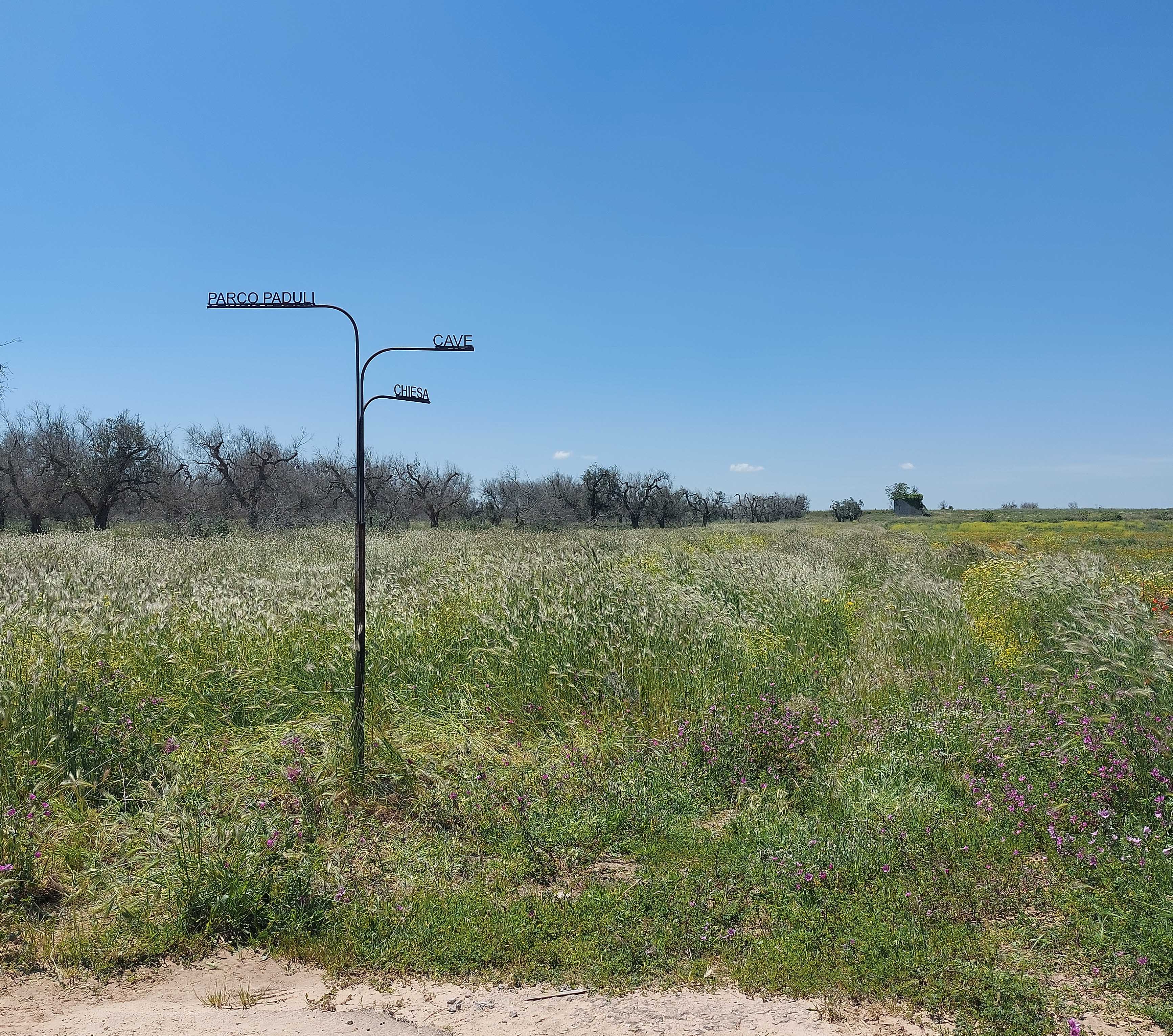 PROGETTO DI DUE ITINERARI DI FRUIZIONE E VALORIZZAZIONE DEI BENI RURALI – PARCO AGRICOLO MULTIFUNZIONALE DEI PADULI.